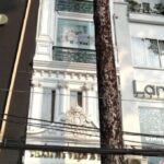 levin Q1 172 1 - MANSION