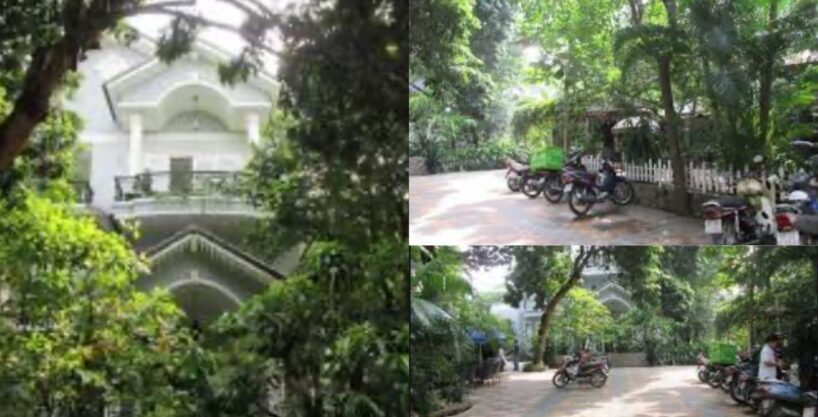 Levin BT 27088 - MANSION