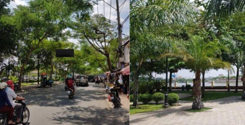 Levin BT 27175 - MANSION