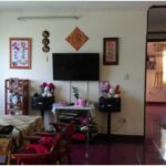 Levin BT 27205 - MANSION