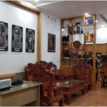 Levin PBT 10571 - MANSION