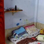 Levin PBT 10644 - MANSION