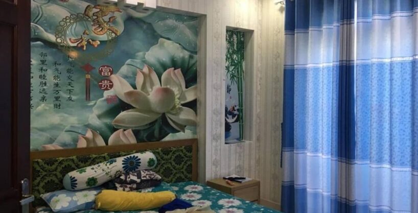 Levin PBT 10667 - MANSION