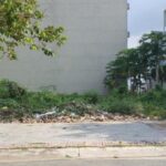 Levin PBT 10712 - MANSION