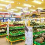 Levin PBT 10781 - MANSION