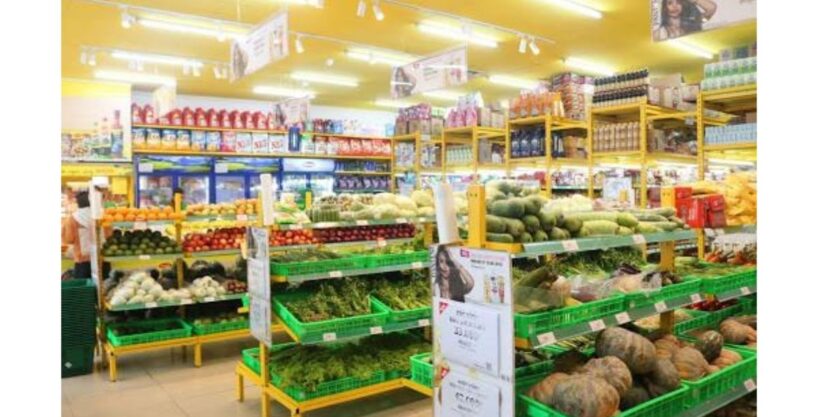 Levin PBT 10781 - MANSION