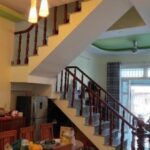 Levin PBT 10905 - MANSION