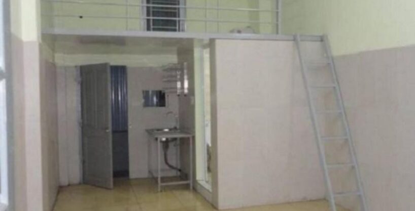 Levin PBT 10963 - MANSION