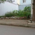 Levin Q10 17052 - MANSION