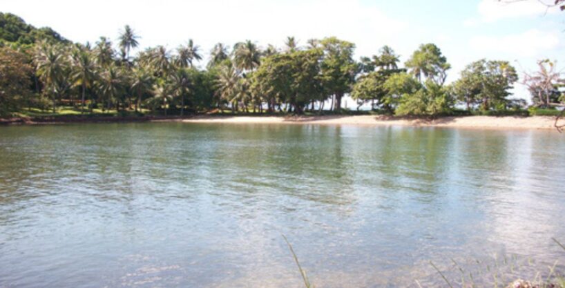 du an Hon Re Lon - MANSION